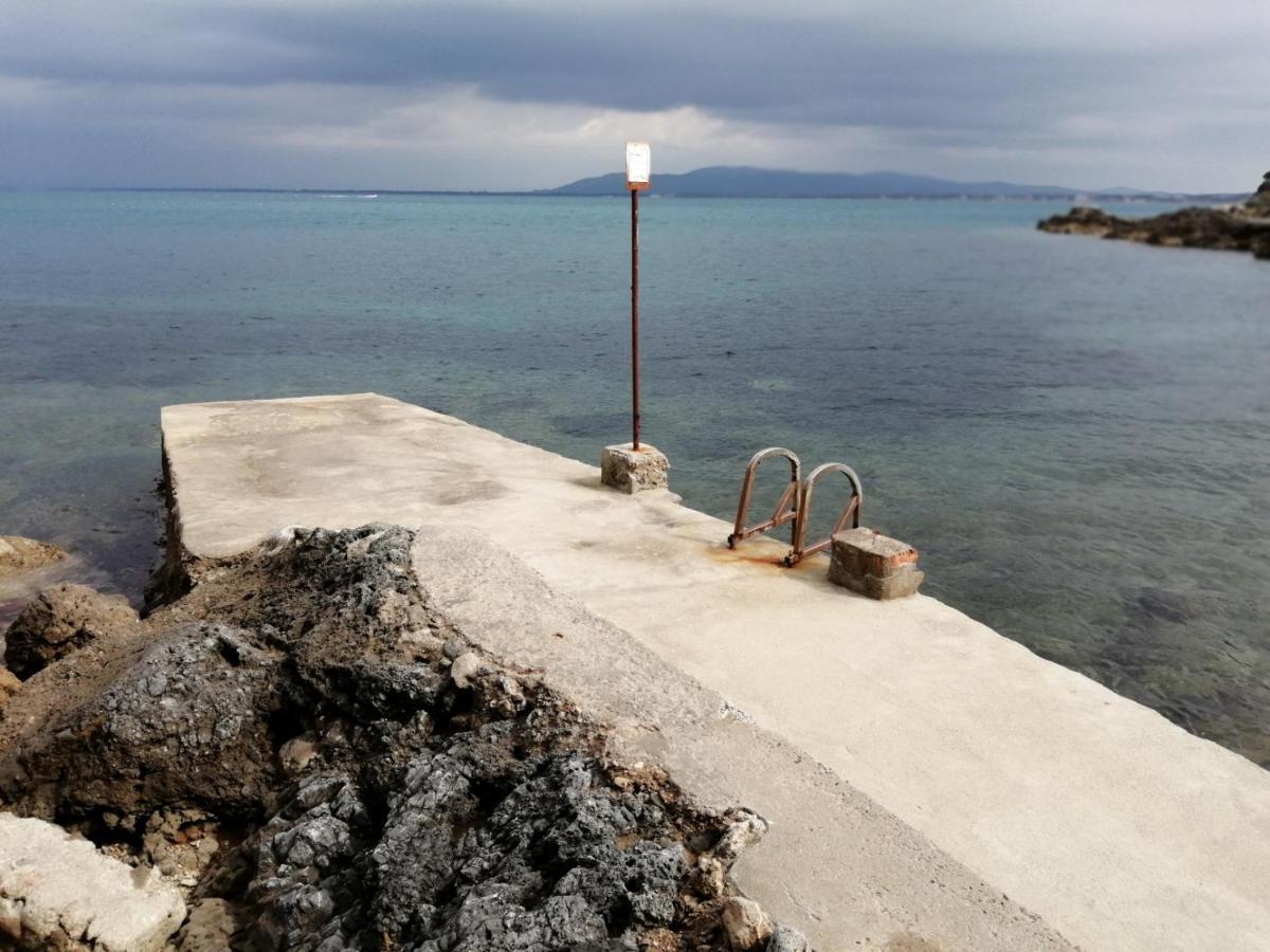 Villa Flora Argentario ポルト・サント・ステーファノ エクステリア 写真