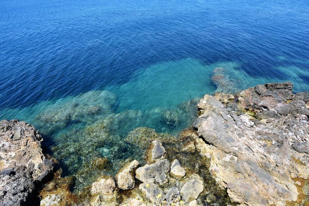 Villa Flora Argentario ポルト・サント・ステーファノ エクステリア 写真