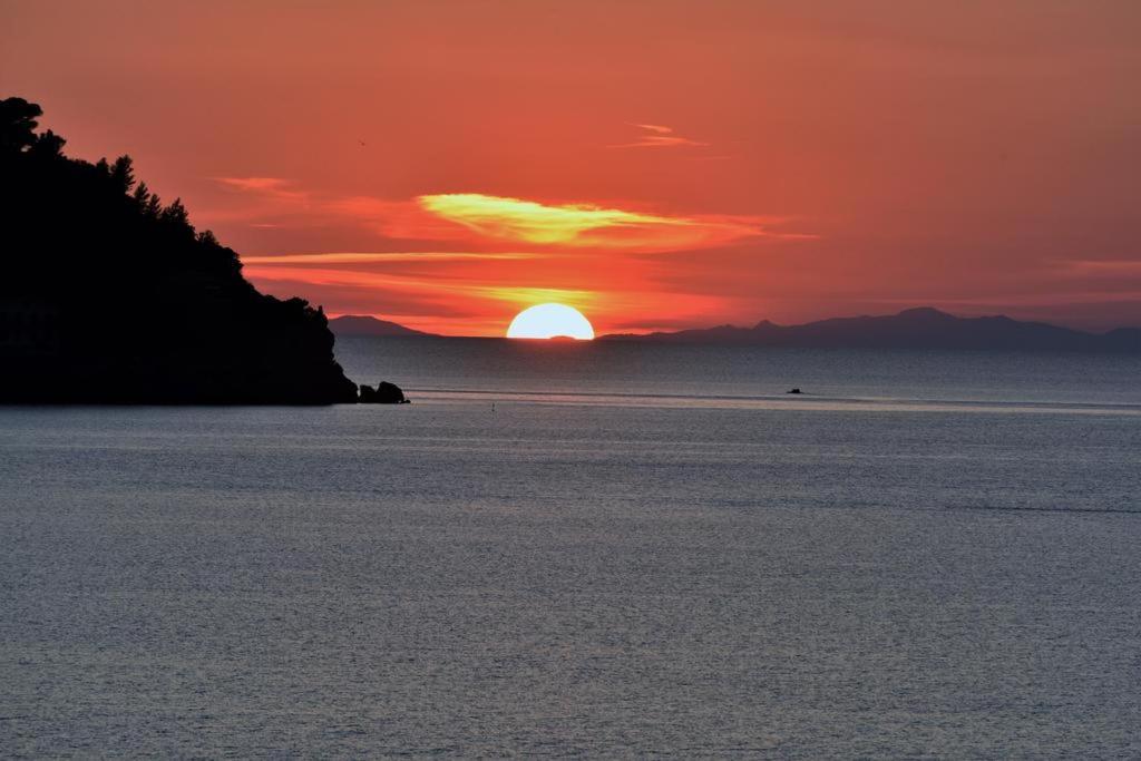 Villa Flora Argentario ポルト・サント・ステーファノ エクステリア 写真
