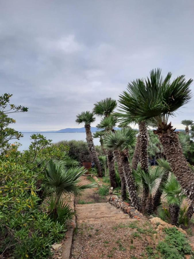 Villa Flora Argentario ポルト・サント・ステーファノ エクステリア 写真