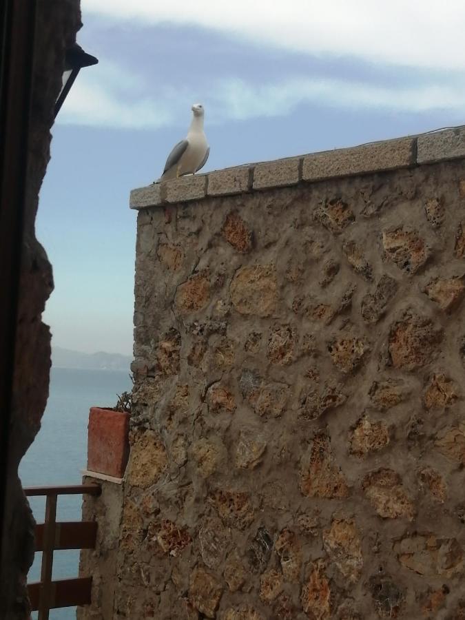 Villa Flora Argentario ポルト・サント・ステーファノ エクステリア 写真